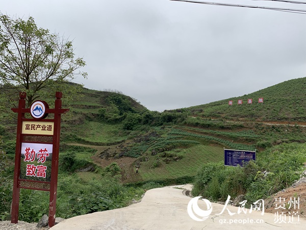 白水河刺梨種植基地 