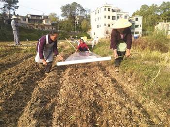 紫云县有多少人口_航拍贵州紫云生态蓝莓园(3)