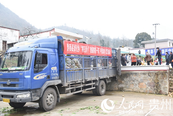 2月10日，貴州豐收村群眾，將檢測合格的水果蘿卜裝車運送武漢。 周訓超 攝