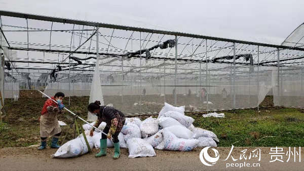 开阳县龙岗镇群众把化肥运往蔬菜基地。开阳县宣传部供图