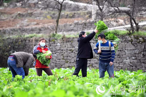 ����Ŵ�ĵ�Ա־Ը�߰����������ժ�߲ˡ����� ��