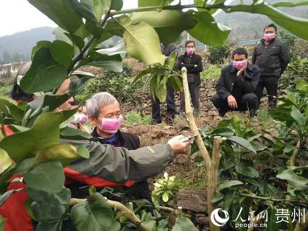 ����ҵ�ֵ�������չ������ѵ  ϰˮ����ý�����Ĺ�ͼ