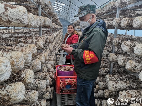 ���幩�����פ�����ظɲ���ΰ������ʳ�þ�ũ��רҵ�����������ũæµ�ţ���ժʳ�þ������幩��ֹ�ͼ