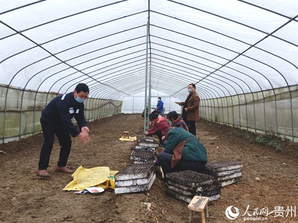 ���幩�����פ�����غ�����ƶ�ɲ��Ƶ������ںʹ���һ���������콷���硣���幩��ֹ�ͼ