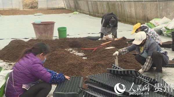 �����ڷŻ�������¬���� ��