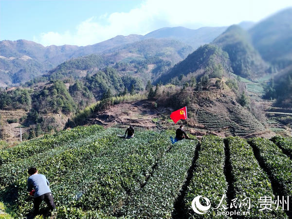 雷山县人口多少_雷山县地图