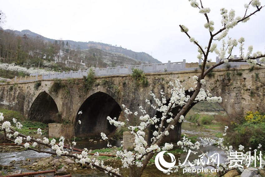 洒坪鎮蜈蚣橋。韋陽慧 攝