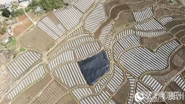 關嶺自治縣新鋪鎮的大盤江村西瓜種植基地。