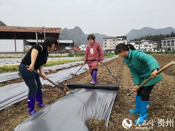 ũ����������Ĥ������ ��