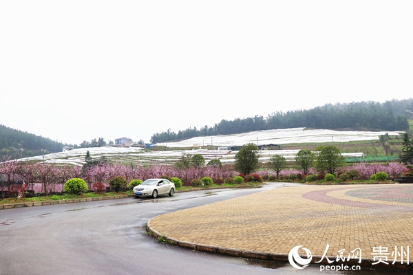 �������򵳽���ƶ԰������ ��