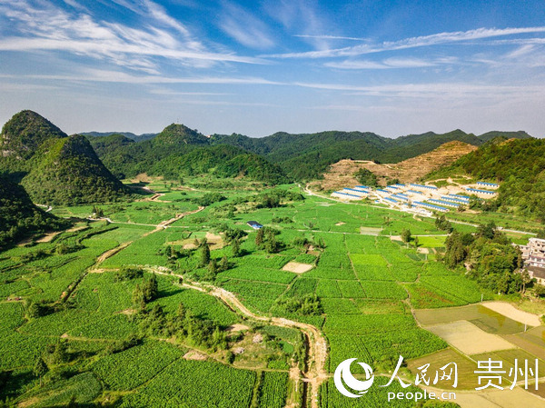 ���İ�������ͼ