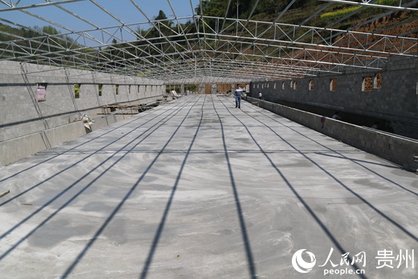 硯華村修建中的生豬養殖場。楊友 攝