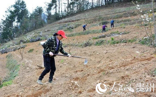 道真县上坝乡双河村人口_贵州省道真县双坝水库