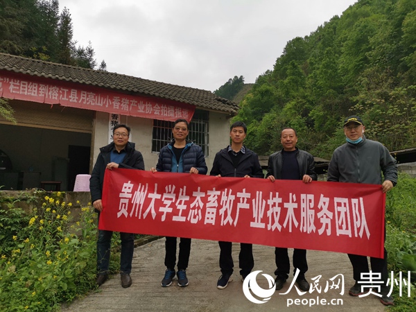 到八開鎮小香豬養殖合作社進行復養技術指導。