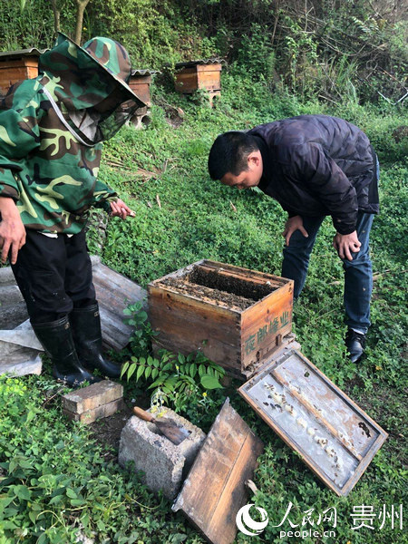 普定县有多少人口(2)