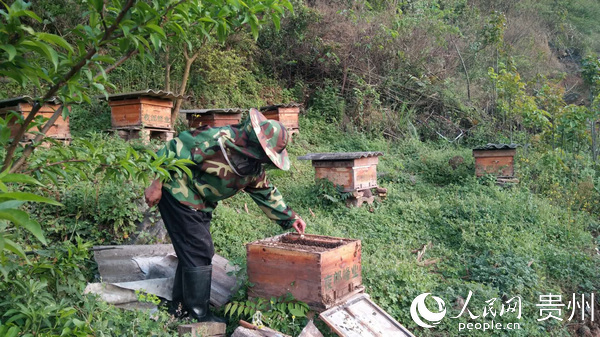 普定县有多少人口(2)