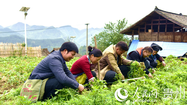 2020年4月，貴州民族大學駐村隊幫助群眾鋤草。李安生 攝