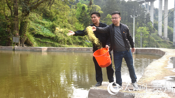 貴州民族大學支助建設的報京村魚塘。江春健 攝
