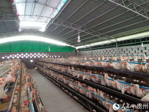 �����嵰����ֳ����