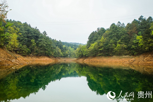 拱攏坪國家森林公園中，碧玉湖畔綠樹叢生。陳曦 攝