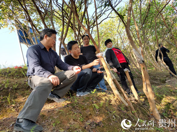 周运超教授和高超博士一道在扣麻村油茶低产林改造示范现场指导嫁接工作