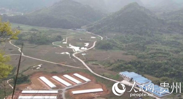 贵州庆丰生态养殖科技有限公司种鸭养殖基地