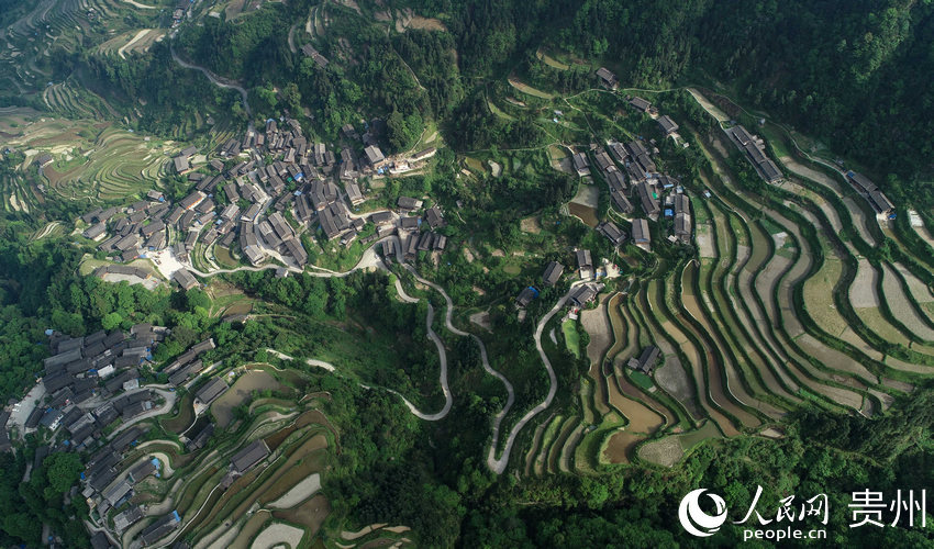 5月7日，在貴州省黔東南苗族侗族自治州丹寨縣排調鎮羊告村拍攝的梯田風光（無人機照片）。