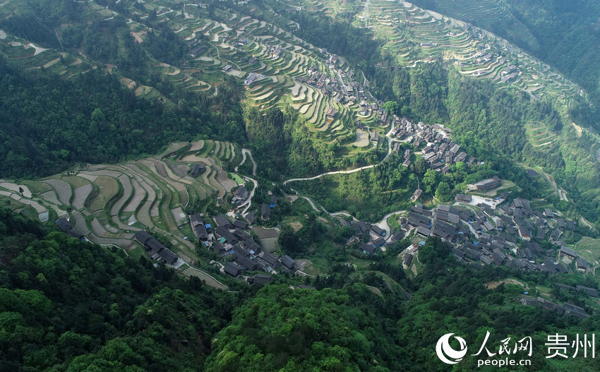 5月7日，在貴州省黔東南苗族侗族自治州丹寨縣排調鎮羊告村拍攝的梯田風光（無人機照片）。
