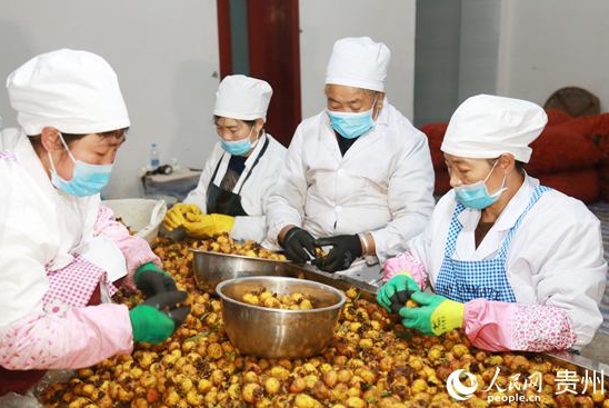畢節七星關區：做大重點產業