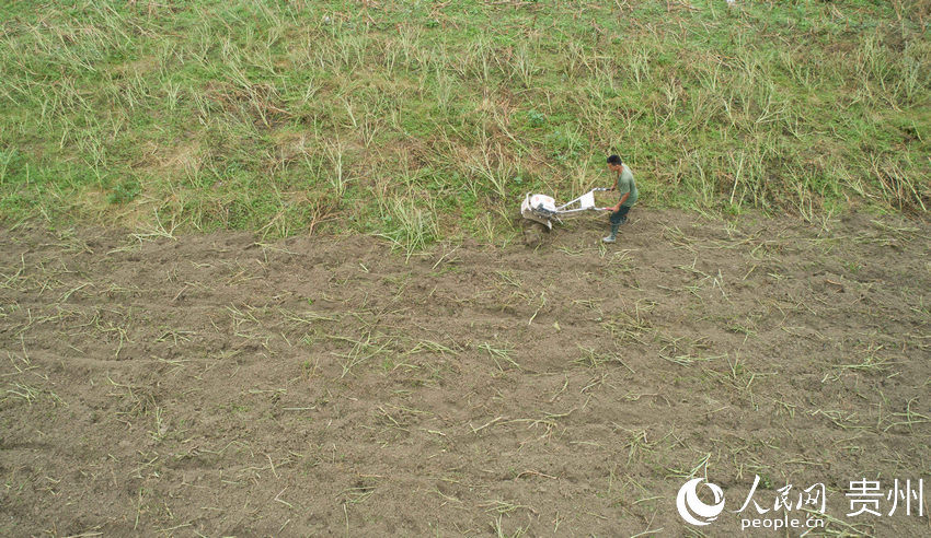 5月20日，農民在貴州省黔東南苗族侗族自治州丹寨縣排調鎮也改村蔬菜種植基地裡犁地（無人機照片）。