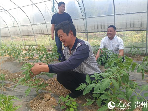 ����缦�ô��ί���������������ڲ鿴���������ơ���� ��
