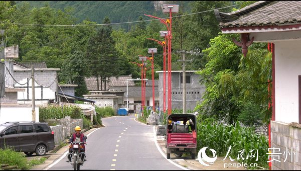 石坪村通村油路和路燈鱗次櫛比。譚勇攝