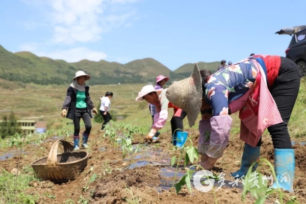 С���򹫼�ɽ��Ⱥ������������(��Ʈ�� ��)