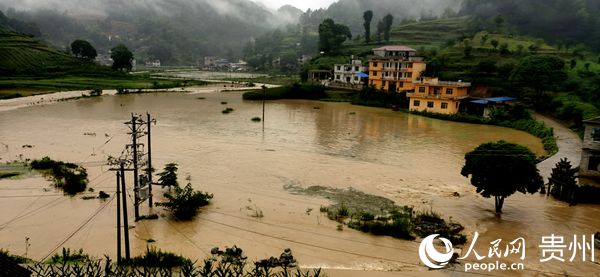 德江縣穩坪鎮楓香村海溪溝受洪災致水產養殖遭嚴重損失。張景 攝