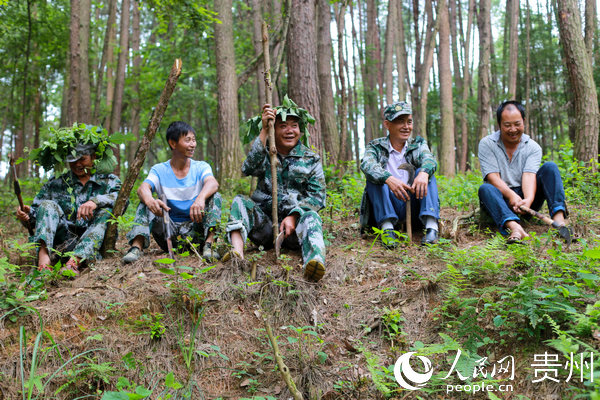 7月17日，黔西縣雨朵鎮平壩村的護林員在鬆林裡休息。