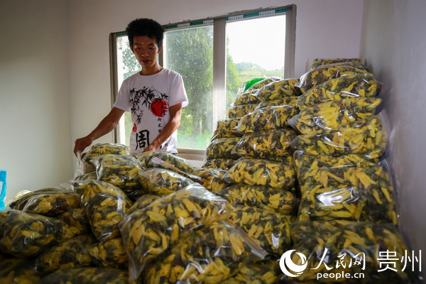 7月22日，黔西縣雨朵鎮登高社區村民整理金花葵成品出售。周訓超 攝