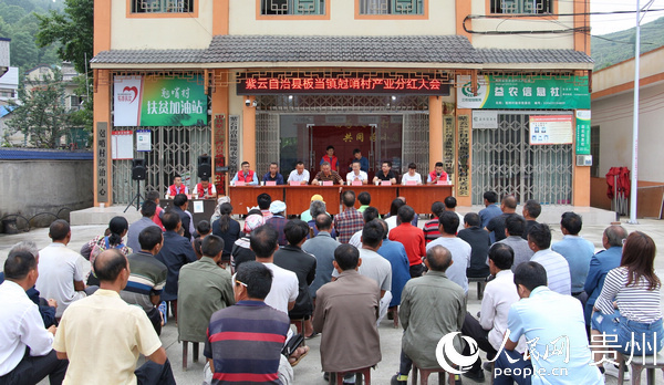 5月21日，紫雲自治縣板當鎮尅哨村分紅大會舉行。胡家林  攝