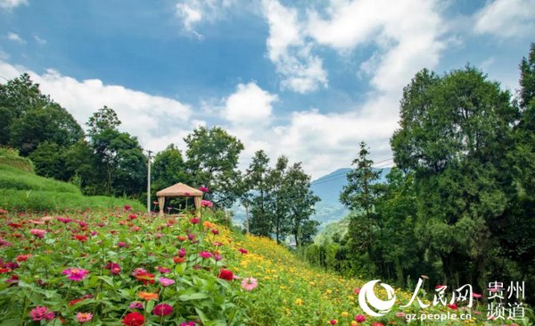习水石门农家小院一景
