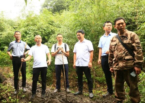 贵州频道 桐梓视窗 桐梓头条   龙斌指出,桐梓县拥有大面积,高质量,原