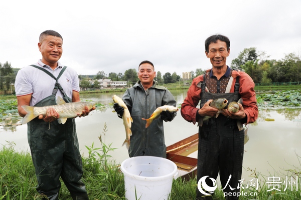 大方縣牛場鄉水產養殖區合作社社員拿著捕撈的生態魚。王定超 攝