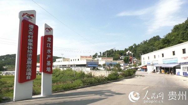 龍江村村集體領辦的水產基地。