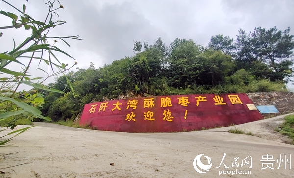 青山环抱的枣园。王浩 摄