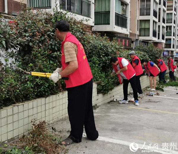黨員志願者們為小區綠化修建樹枝。