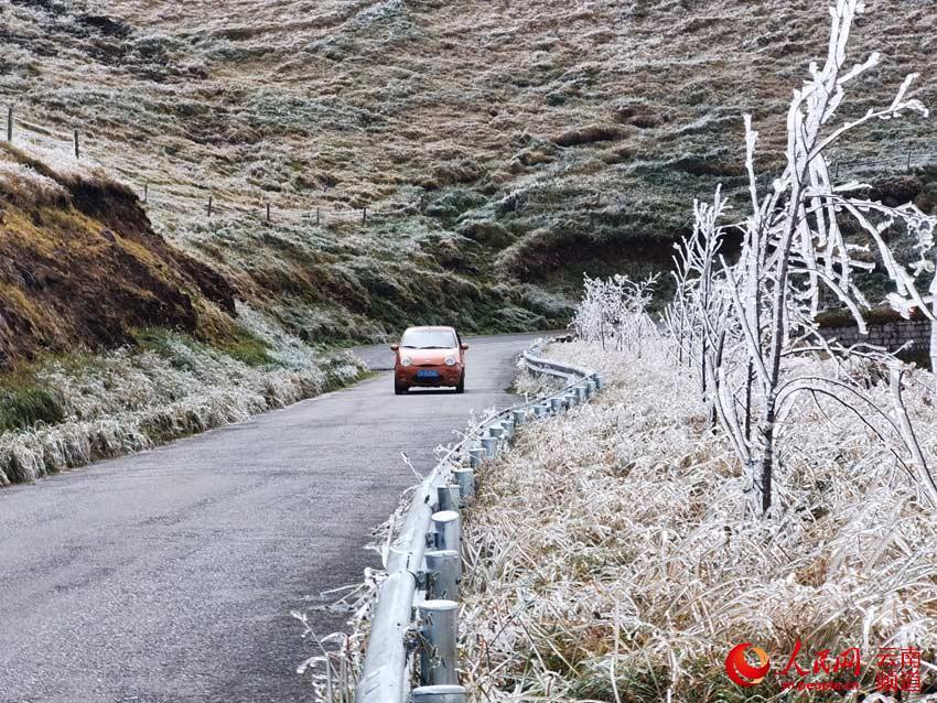 10月21日，海拔超過3000多米的雲南省曲靖市會澤縣大海鄉迎來了今年的第一場冰凌。在去大海草山的路上，路邊的護欄、小草和樹枝上都被突如其來的冰凌給凍住了，不時有人下車拍照留念。（張坤宏）
