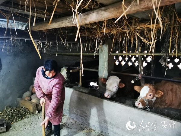 彭鋁：一個返貧戶的脫貧故事。