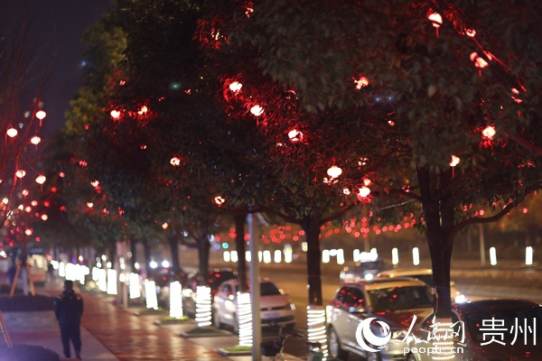 點綴在行道樹上的小紅燈籠，讓觀山湖的夜晚變得更加溫馨。觀山湖區融媒體中心供圖