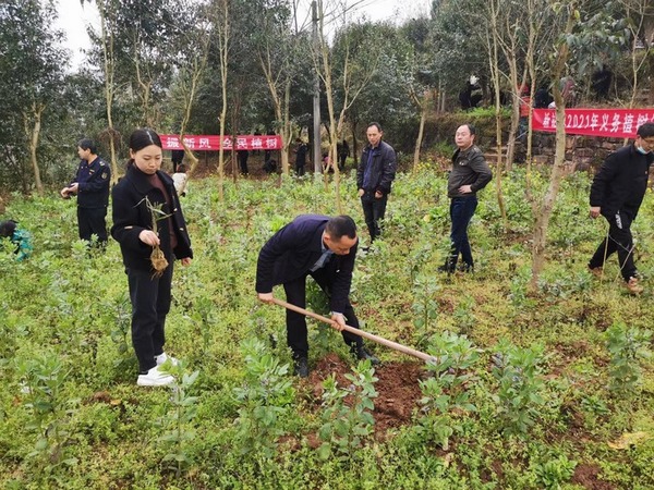 桐梓縣新站鎮開展義務植樹活動 。桐梓縣融媒體中心供圖