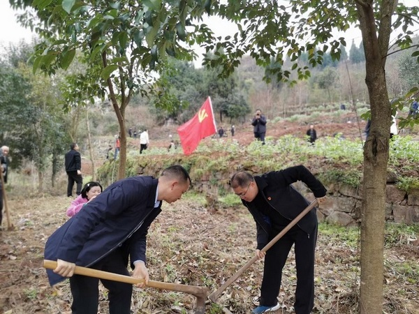 桐梓縣新站鎮開展義務植樹活動 。桐梓縣融媒體中心供圖