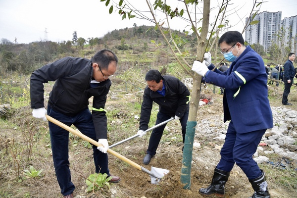 揮鍬鏟土干勁足。王明元 邰芯雨 攝