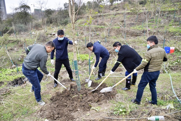 踩土定植添新綠。王明元 邰芯雨 攝